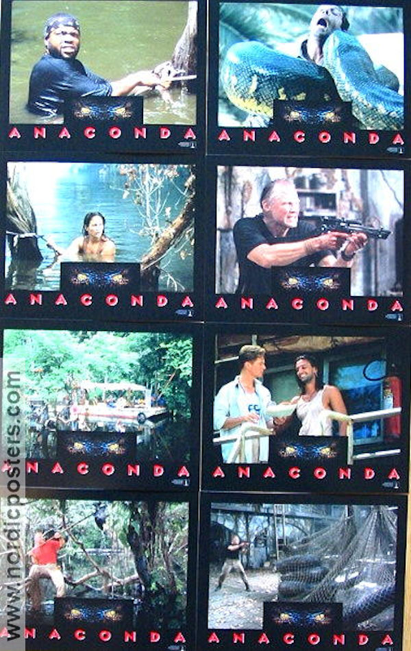Anaconda 1997 lobby card set Jon Voigh Jennifer Lopez Luis Llosa Snakes