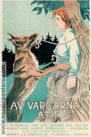 Av vargarnas ätt 1921 poster Strongheart the Dog John Bowers Laurence Trimble