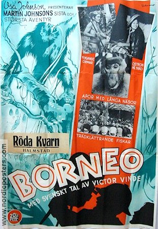 Borneo 1937 poster Martin Johnson Dokumentärer Eric Rohman art