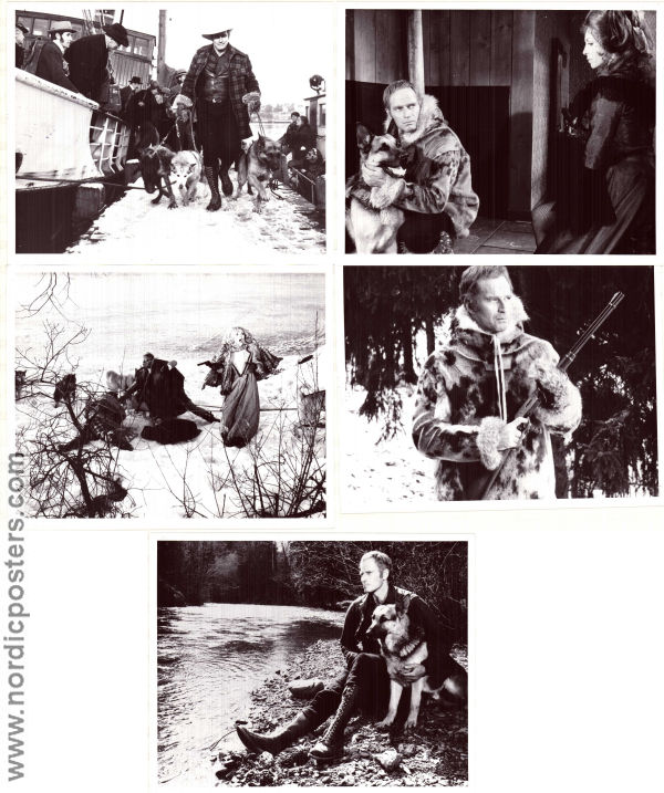 The Call of the Wild 1972 lobby card set Charlton Heston Michele Mercier Raimund Harmstorf Ken Annakin Writer: Jack London