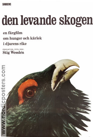 Den levande skogen 1966 movie poster Stig Wesslén Birds Documentaries
