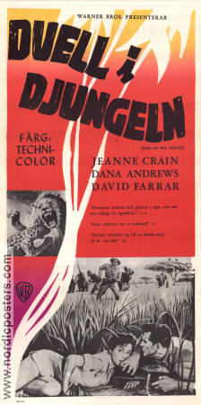 Duell i djungeln 1954 poster Jeanne Crain Dana Andrews David Farrar George Marshall