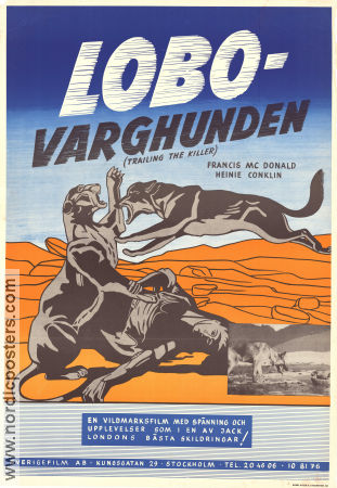 Lobo varghunden 1932 poster Caesar the Dog Francis McDonald Heinie Conklin Herman C Raymaker Hundar