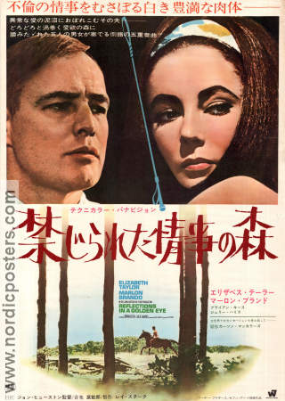 Reflections in a Golden Eye 1967 poster Elizabeth Taylor Marlon Brando Brian Keith John Huston
