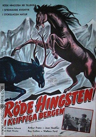 Röde hingsten i Klippiga Bergen 1951 movie poster Jean Heather Horses Mountains