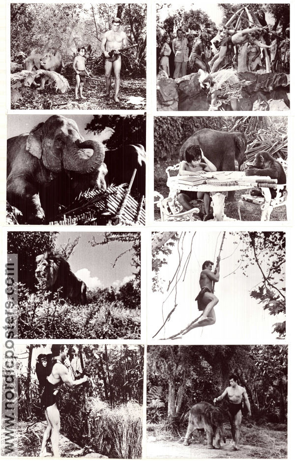 Tarzan and the Trappers 1960 photos Gordon Scott Eve Brent Rickie Sorensen Charles F Haas Find more: Tarzan