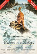 Den otroliga vandringen 1993 poster Robert Hays Duwayne Dunham Hundar