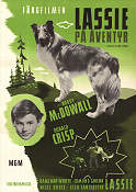 Lassie Come Home 1943 movie poster Roddy McDowall Donald Crisp Lassie Fred M Wilcox Dogs