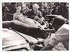 Photo Wild Strawberries