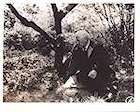 Photo Wild Strawberries