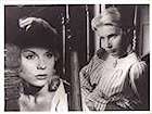 Photo Wild Strawberries