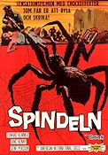 Insects (The Spider 1961)