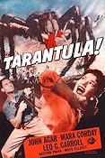 Tarantula 1956 poster John Agar Mara Corday Affischen från: Finland