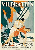 Untamed 1929 movie poster Joan Crawford Robert Montgomery Jack Conway Eric Rohman art