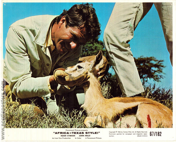 Africa: Texas Style 1967 lobby card set Hugh O´Brian John Mills Nigel Green Andrew Marton Find more: Africa