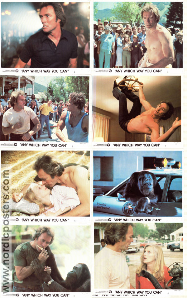 Any Which Way You Can 1980 lobby card set Clint Eastwood Sondra Locke Geoffrey Lewis Buddy Van Horn