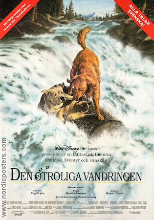 Den otroliga vandringen 1993 poster Robert Hays Duwayne Dunham Hundar