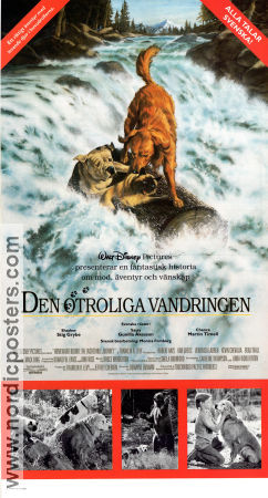 Homeward Bound: The Incredible Journey 1993 movie poster Robert Hays Duwayne Dunham Dogs