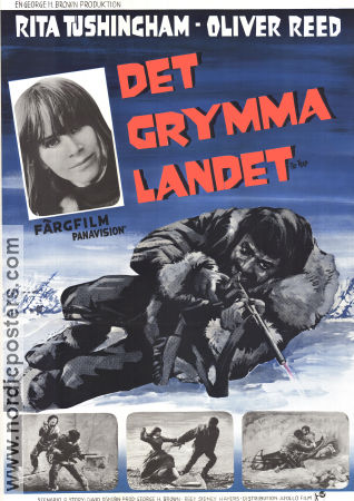 Det grymma landet 1967 poster Rita Tushingham Olver Reed Sidney Hayers