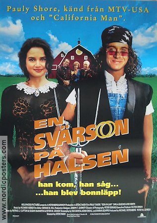 Son in Law 1993 movie poster Pauly Shore Carla Gugino Lane Smith Steve Rash