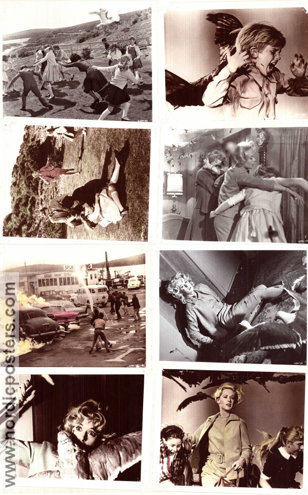 The Birds 1963 photos Rod Taylor Tippi Hedren Jessica Tandy Alfred Hitchcock Birds