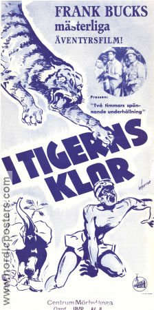 Tiger Fangs 1943 poster Frank Buck Sam Newfield