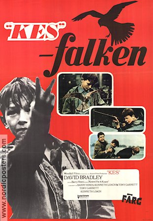 Kes 1969 movie poster David Bradley Brian Glover Freddie Fletcher Ken Loach Birds Kids