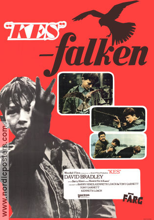 Kes falken 1969 poster David Bradley Brian Glover Freddie Fletcher Ken Loach Fåglar Barn