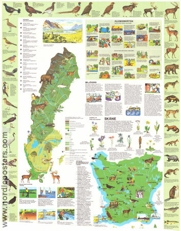 Natur i Sverige 1974 poster Find more: Friluftsfrämjandet Find more: Eslöv-Omsjö Sparbank