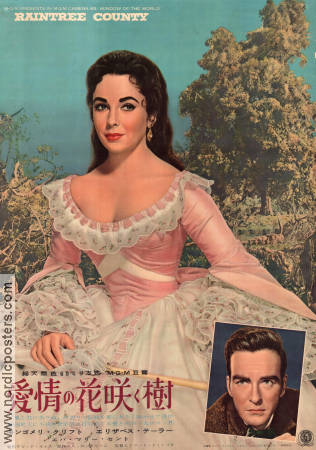 Raintree County 1957 movie poster Elizabeth Taylor Montgomery Clift Edward Dmytryk