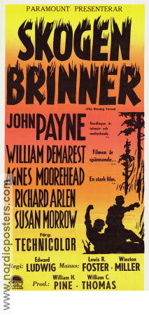 The Blazing Forest 1952 movie poster John Payne William Demarest Agnes Moorehead Edward Ludwig Fire