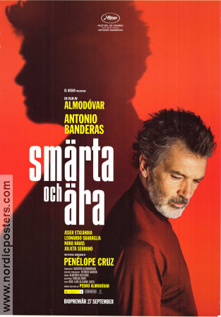 Dolor y gloria 2019 movie poster Antonio Banderas Asier Etxeandia Leonardo Sbaraglia Pedro Almodovar Spain