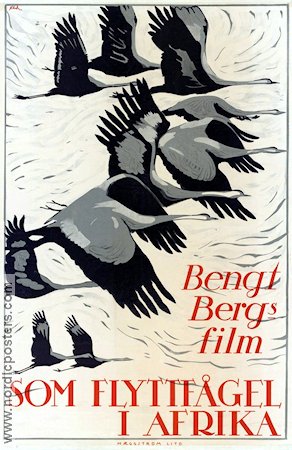 Som flyttfågel i Afrika 1922 movie poster Bengt Berg Documentaries Birds