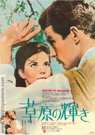 Splendor in the Grass 1961 movie poster Natalie Wood Warren Beatty Pat Hingle Elia Kazan