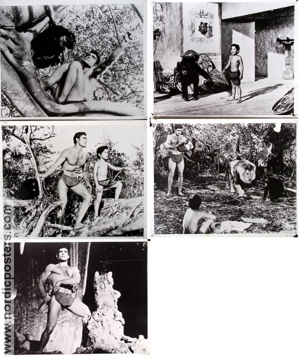 Tarzan and the Valley of Gold 1966 filmfotos Mike Henry David Opatoshu Manuel Padilla Jr Robert Day Hitta mer: Tarzan Agenter