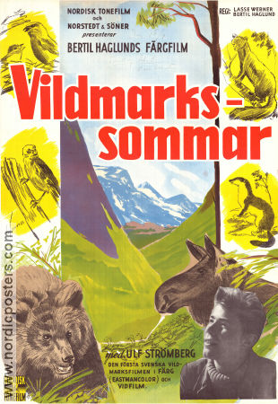 Vildmarkssommar 1957 poster Ulf Strömberg Olof Thunberg Bertil Haglund Affischkonstnär: Walter Bjorne Dokumentärer Berg