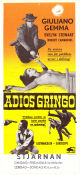 Adios Gringo 1965 movie poster Giuliano Gemma Ida Galli Roberto Camardiel Giorgio Stegani