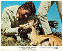 Africa: Texas Style 1967 lobbykort Hugh O´Brian John Mills Nigel Green Andrew Marton Hitta mer: Africa