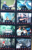 Anaconda 1997 lobby card set Jon Voigh Jennifer Lopez Luis Llosa Snakes