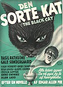 The Black Cat 1941 movie poster Basil Rathbone Gale Sondergaard Alan Ladd Bela Lugosi Writer: Edgar Allan Poe