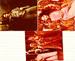 Flash Gordon 1981 lobby card set Timothy Dalton Max von Sydow Mike Hodges Music: Queen From comics