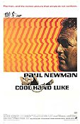 Cool Hand Luke 1967 movie poster Paul Newman