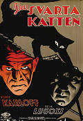 The Black Cat 1934 movie poster Boris Karloff Bela Lugosi Edgar G Ulmer