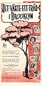 A Tree Grows in Brooklyn 1945 movie poster Joan Blondell Elia Kazan