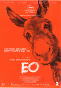 EO 2022 poster Hola Tako Marietta Jerzy Skolimowski Filmen från: Poland