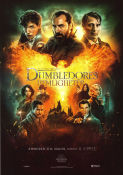 Fantastiska vidunder: Dumbledores hemligheter 2022 poster Eddie Redmayne Jude Law Ezra Miller David Yates