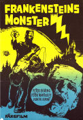 Frankensteins monster 1964 poster Peter Cushing Peter Woodthorpe Duncan Lamont Freddie Francis Filmbolag: Hammer Films