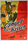 Circus Friends 1958 movie poster Horses