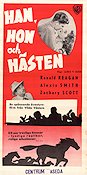 Stallion Road 1947 movie poster Ronald Reagan Alexis Smith Zachary Scott James V Kern Horses