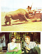 Hatari 1962 lobbykort John Wayne Elsa Martinelli Hardy Krüger Howard Hawks